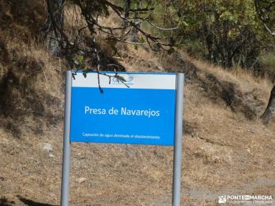 Meandros Río Lozoya - Pontón de la Oliva - Senda del Genaro GR300; 